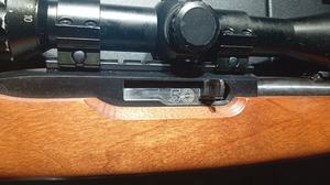 Ruger 10/22, 50th Anniversary commemorative rifle *Package Deal*